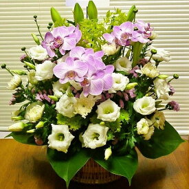 [送料無料][お悔み][お供 花[彼岸花][御供え菊][御供ピンク] お盆ギフト[胡蝶蘭][アレンジメント][ペット御供]【HLS_DU】【RCP】【楽ギフ_メッセ入力】お盆花