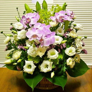 [][][ [ފ݉][䋟e][䋟sN] ~Mtg[Ӓ][AWg][ybg䋟]yHLS_DUzyRCPzyyMt_bŹz~