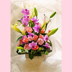 生花 カラー花の人気商品 通販 価格比較 価格 Com
