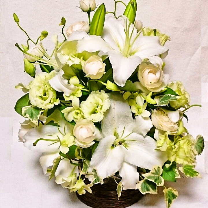 楽天市場 送料無料 あす楽 お供アレンジ お供えギフト 枕花 お悔み花 お盆花 彼岸花 Hls Du Rcp ペット御供花 楽ギフ メッセ入力 Hls Du オススメ 売れ筋 パストラルフラワー