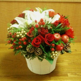 [送料無料][クリスマス花][お歳暮花]おしゃれクリスマス風アレンジ【HLS_DU】【RCP】【楽ギフ_メッセ入力】【オススメ】【売れ筋】