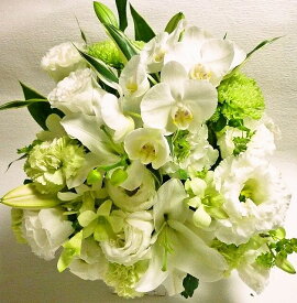 [送料無料] 2色選べる　お悔みギフトお供え　お彼岸花　御供花　お盆ギフト　胡蝶蘭お供アレンジ　ユリとラン　おしゃれアレンジ」【HLS_DU】【RCP】[ペット花]【楽ギフ_メッセ入力】【オススメ】