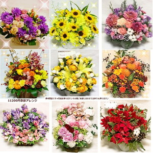 [ŒZ]yyV1ʁz[]|Cg2{[aԑ][G߉][jԑ][ʉԑ][\ԑ][aAW][LOԑ][ԑ][䋟ԑ][jԑ][Ɠwԍijԑ]