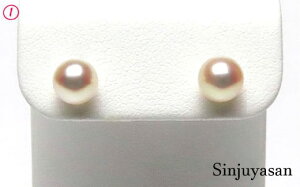 ^쉮 AR {^ zCgsN / S[h 6.0`6.5~ i ɐuY bAR^bp[b^lbNXbEGfBOuC_Ă΂byyMt_zbSi