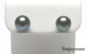 ^쉮  7.0`7.5~ i v`i sAX Pt900 uYAR^ ubNp[ ^ bAR^bp[b^lbNXbyyMt_zbSinjuyasan