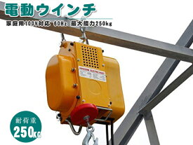【8月11日までポイントUP】電動ウインチ 100V ホイスト クレーン 60Hz 最大能力250kg 家庭用100V対応 強力小型 出張先や現場ですぐに使える移動式 吊り下げタイプ DIY 60日安心保証付 送料無料