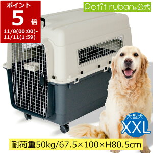 yy|Cg5{zybgL[DX100 XXL ^ ^ LX^[t ybg L[ L[P[X Rei N[g n[hL[ ybgN[g ybgPl IATA