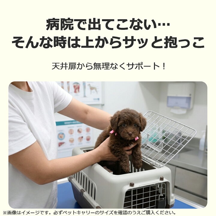 楽天市場】【マラソン期間全品ポイントUP】2個セット ペットキャリー 