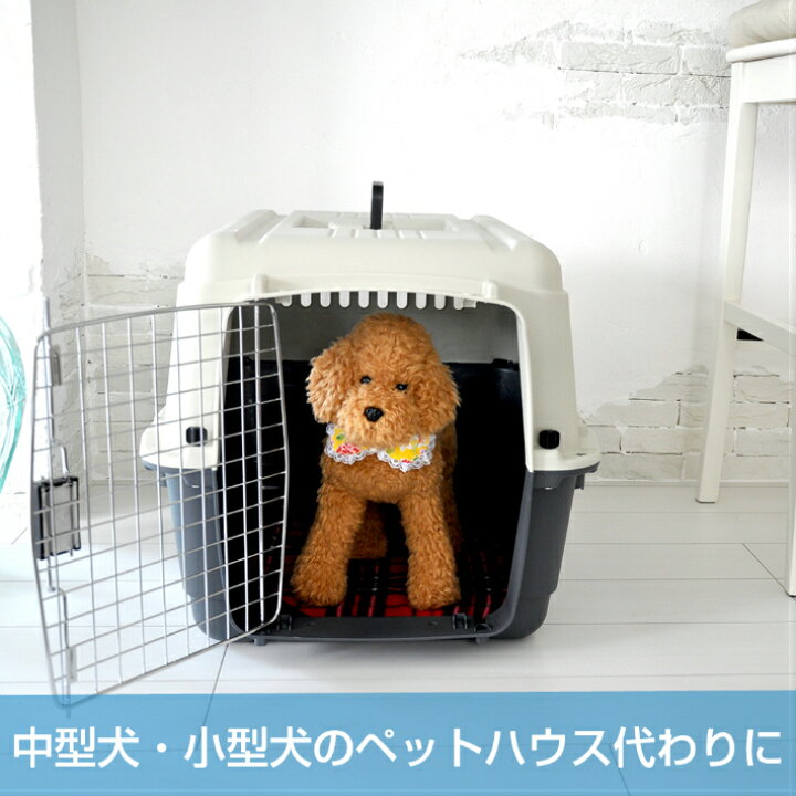楽天市場 全品ポイント3倍 ペットキャリーバッグ Dx70 Ll 中型犬 送料無料 犬 ペット キャリー キャリーケース コンテナ クレート ハード キャリー プチリュバン