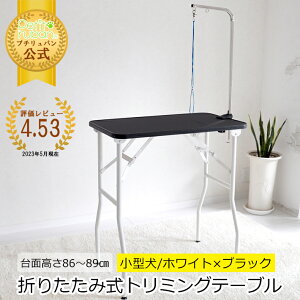 y߁zg~Oe[u BW86-89 g~O ʃubN zCg 86`89cm A[t [hRt ܂肽 AWX^[t ĕt