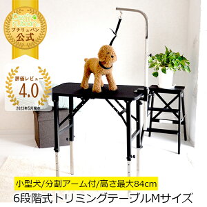 y߁zg~Oe[u 6iKߎ MTCY A[t [hRt g~O AWX^[t ʃubN PVCt[ ubN ܂肽 52`84cm