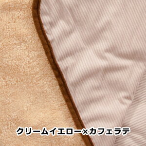 y}\ԑSi|CgUPzybgѕz Pi1 o[Vu 70×100cm AC{[ uE O[ lCr[ I[V[Y Ђ| uPbg ybg  L 