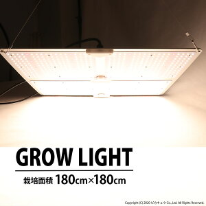 yOECgLEDzÉt@X݌v TXfqgp 450W GROW LIGHT ͔|ʐ 180cm×180cm A琬Cg ͔| A琬Cg ͔| ŏԂłn\ r[AO120x 