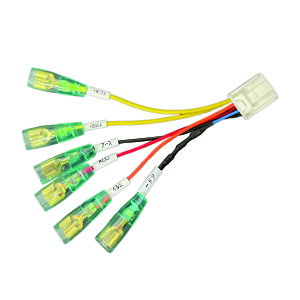 sJC` At@[h40n do IvVJv[ _uM{VΉ im[}^Cvj