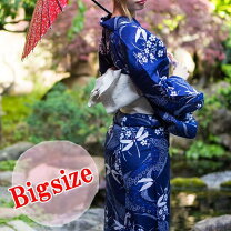 楽天市場】浴衣（柄トンボ）（和服｜レディースファッション）の通販 