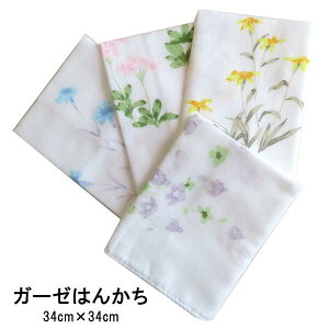 yK[[͂񂩂z4w{x K[[ z _炩 ₳ Ԃ V }XNyZz