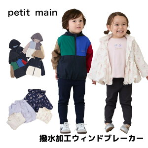 y11/1-11/6̉\Lzy[֑zpetit main yEChu[J[z2025NHV Ht t[h܂ EBu 킢  t[hL t[hȂ t hJ 