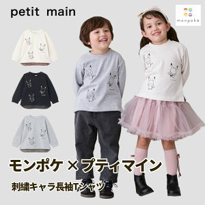 yyVX[p[Z[i!!zy[֑zymonpokezhJLTVc petit main veB}C |P pokemon |P |PbgX^[ sJ`E C[uC `FbN C