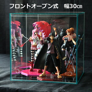 y KXGbW@30cm zJɏꏊ炸d˂tgI[v ANRNVP[X/tBMAP[X