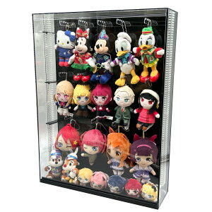 yEړRz`F[tʂ/ʂΐpRNVP[XL@wi/tbN20{t