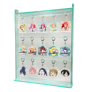 【5列】BIGアクリルキーホルダー専用ケース/アクキーケース/コレクションケース 収納