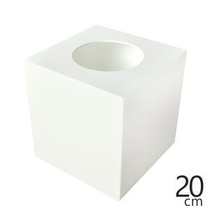 y@I@ z ANIzCg(s) S /20cm/s20cm/20.6cm