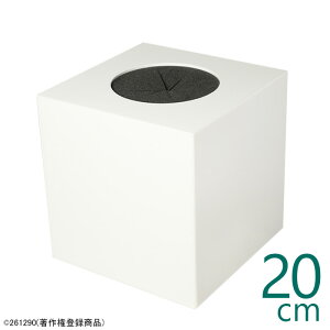 y ډBtI I  z ANIzCg(s) S /20cm/s20cm/20.6cm