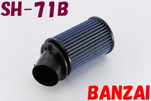 SH-71B �C���e�O��TYPE-R�A(INTEGRA TYPE-R) DB8,DC2 BLITZ�i�u���b�c�j�T�X�p���[ �G�A�t�B���^�[ LM �p���[�G�A�t�B���^�[ LMD ���������^�C�v