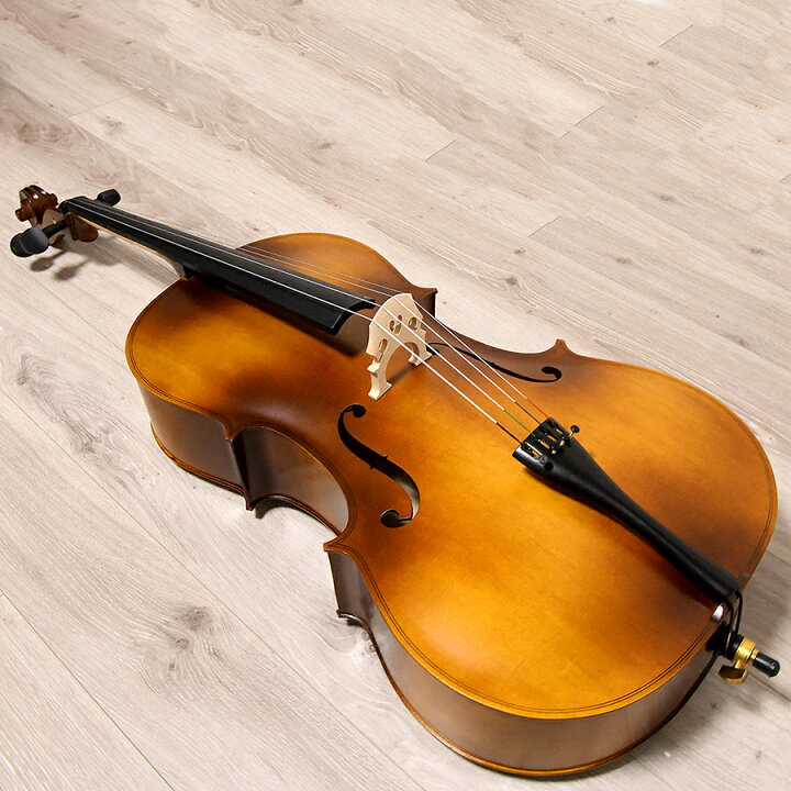 楽天市場】チェロ 初心者入門5点セット 本体 弓 松脂 駒 ケース cello 