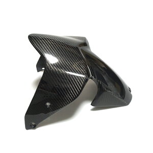 J[{ DUCATIp MONSTER 821/1200/1200S/1200R@2014N` tgtF_[ Yf@ hDJeB X^[ Front Fender