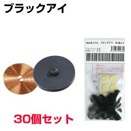 お得クーポン配布中【ポイント20倍！】丸山式コイルブラックアイ　30個セット　専用両面テープ30枚付医学…