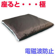 【ポイント13倍！】電磁波対策シリーズ　座ると・・・極BLACK EYEの医学博士丸山修寛監修電磁波防止　電…