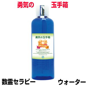 Zs[EH[^[@EC̋ʎ蔠g@GlM[@]ʁ@vgs@g퐔VXe2 MINI@{