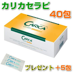 �y�|�C���g5�{�I�z�J���J�Z���s�@3g×40��{5��v���[���gSAIDO-PS501�@�ϓx�@�T�v�������g�@�p�p�C�A�@���N�H�i�@�Ɖu��