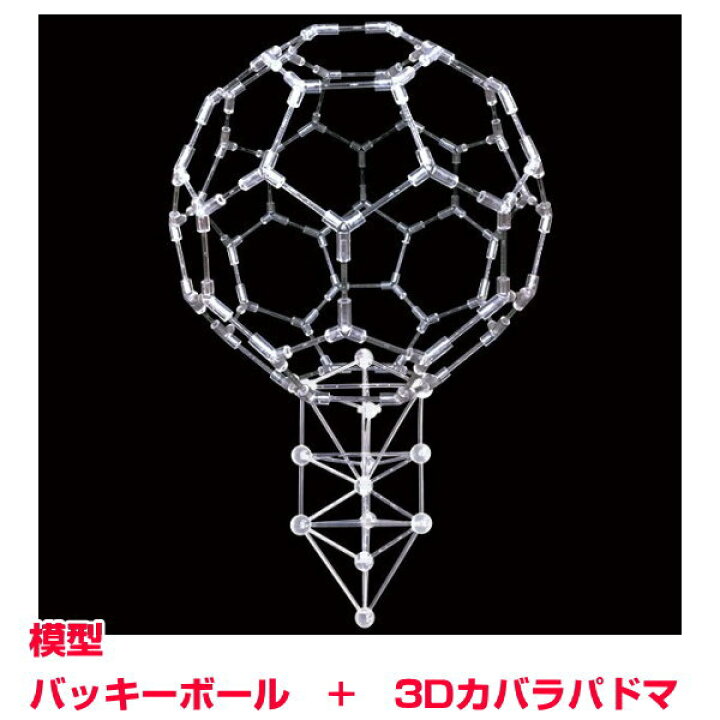 楽天市場】【お得クーポン配布中】模型バッキーボール（組立式）+3D 