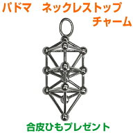 【ポイント20倍】パドマ　ネックレストップ　チャームサージカルステンレスBLACK EYEブラックアイの丸山…