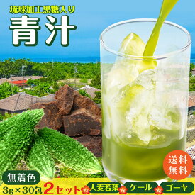 訳あり 沖縄 琉球 黒糖 青汁 3gx60p 送料無料 1杯約17円 ポスト投函便 ポイント 消化　箱レス　エコ包装