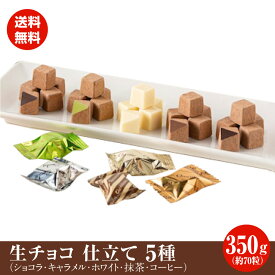 訳あり 生チョコ 仕立て 5種類 350g （約70粒）セット 1000円ぽっきり 送料無料 ポスト投函便 チョコ ショコラ ※在庫の関係で抹茶、ホワイト、いちごがランダムに入ります。