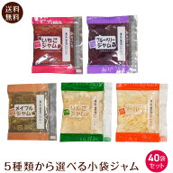 小袋 ジャム クリーム 40袋 5種類 600g 1000円ポッキリ 送料無料 ポスト投函便 いちご ブルーベリー メー…