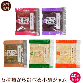 小袋 ジャム クリーム 40袋 5種類 600g 1000円ポッキリ 送料無料 ポスト投函便 いちご ブルーベリー メープル　りんご　マーマレード