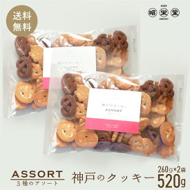 訳あり　神戸クッキー 2袋　（1袋260g） 計520g 北海道産小麦粉使用 アソート クッキー　ポスト投函便 送料無料　1000円ポッキリ