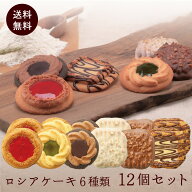 訳あり 焼き菓子 ロシア ケーキ 6種類 12個セット 老舗の人気洋菓子 中山製菓 1000円 税別 送料無料 ポス…