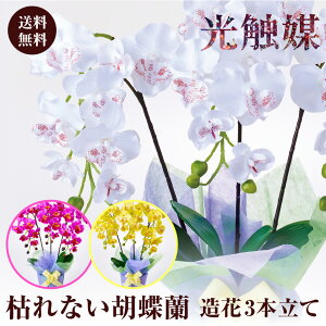 Ӓ ͂Ȃ  3{ sN zCg CG[  v[g G}  ԑS3F Mtg hV̓