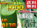 訳あり 送料無料 大麦若葉 青汁 分包 タイプ 3g×30袋 入り 2箱 1000円 ポッキリ ポスト投函便 10P03Dec16