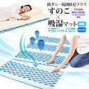 【PLUSONEstore限定!】すのこ型除湿マット【ダブルインパクト プラス ブルー】 ふとん マット ベルオアシス シングル 帝人 テイジン 防ダニ 抗菌防...