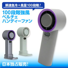 4WAY ハンディファン 冷却プレート 扇風機 ペルチェハンディファン 100段階強風ペルチェハンディファン 充電式 スマホスタンド ミニ扇風機 ハンディファン 手持ち扇風機 ハンディ コンパクト 卓上扇風機 瞬間冷却 充電式 熱中症対策 暑さ対策 通勤 通学 旅行
