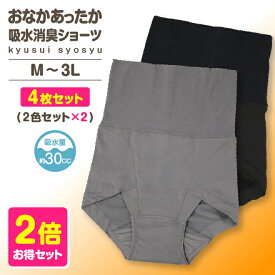 2枚組×2セット 合計4枚お届け 裏起毛 腹巻 無地 吸水ショーツ 失禁ショーツ 吸水パンツ 母の日 敬老 レディース セット 女性用 スタイルセレブリティ 吸水消臭ショーツ ハラマキタイプ 保温 裏起毛 最終値下げ あったかショーツ あったかインナー ゆらぐ 2026