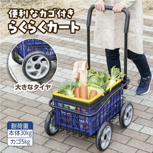 ֗ȃJSt 炭炭J[g hV (ITC23)@sOSt