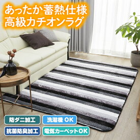 蓄熱仕様 高級 カチオン ラグ 厚み 約20mm 防ダニ 抗菌 防臭 保温 蓄熱 暖か あったか 長毛 毛布 カーペット マット 手洗い 洗濯機洗い ふっくら 節電 《os》