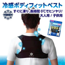 BODY FIT VEST (ボディーフィットベスト)　ひんやりグッズ ひんやりアイテム 熱中症対策 暑さ対策 夏のお悩み ひんやり 超冷感 特殊低温保冷剤 生命の輝き　アイストラスト　《OS》